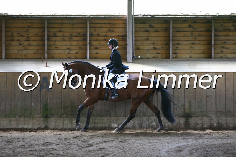 006M6692_Dressurpferde A.JPG